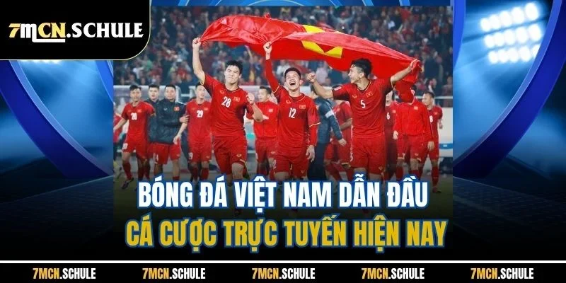 Tin Bóng Đá Việt Nam 7M - Cập Nhật Thông Tin Nóng Mỗi Ngày 2 Bóng đá Việt Nam dẫn đầu cá cược trực tuyến hiện nay