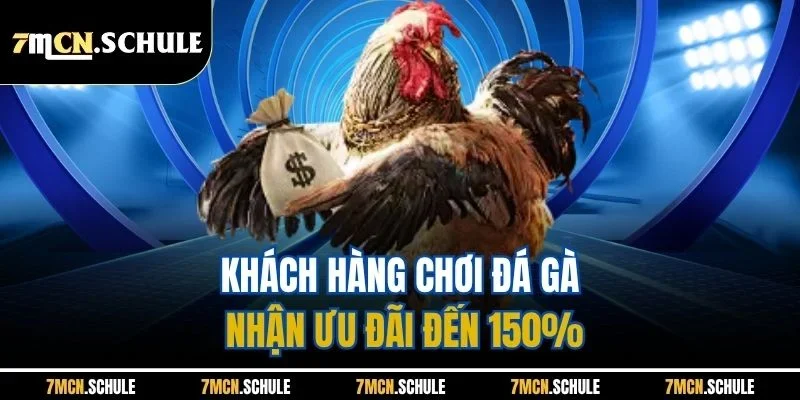 Khuyến Mãi 7M | Tổng Hợp Loạt Ưu Đãi Thể Thao 2025 2 Khách hàng chơi đá gà nhận ưu đãi đến 150%